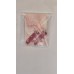 Cabriolet Earrings